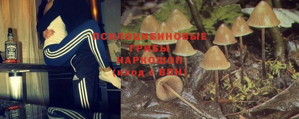 apvp Абаза