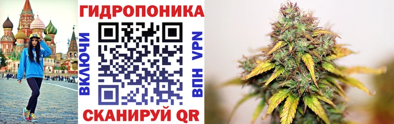 где купить наркоту  Магнитогорск  Бошки марихуана тримм 